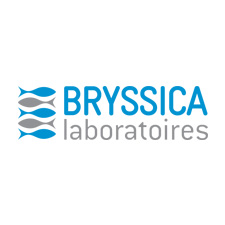 BRYSSICA