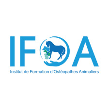 IFOA